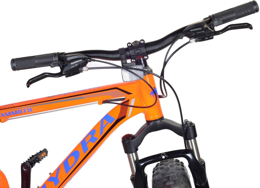 fat bike flipkart