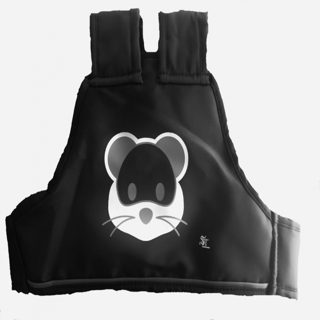 baby carrier for two wheeler