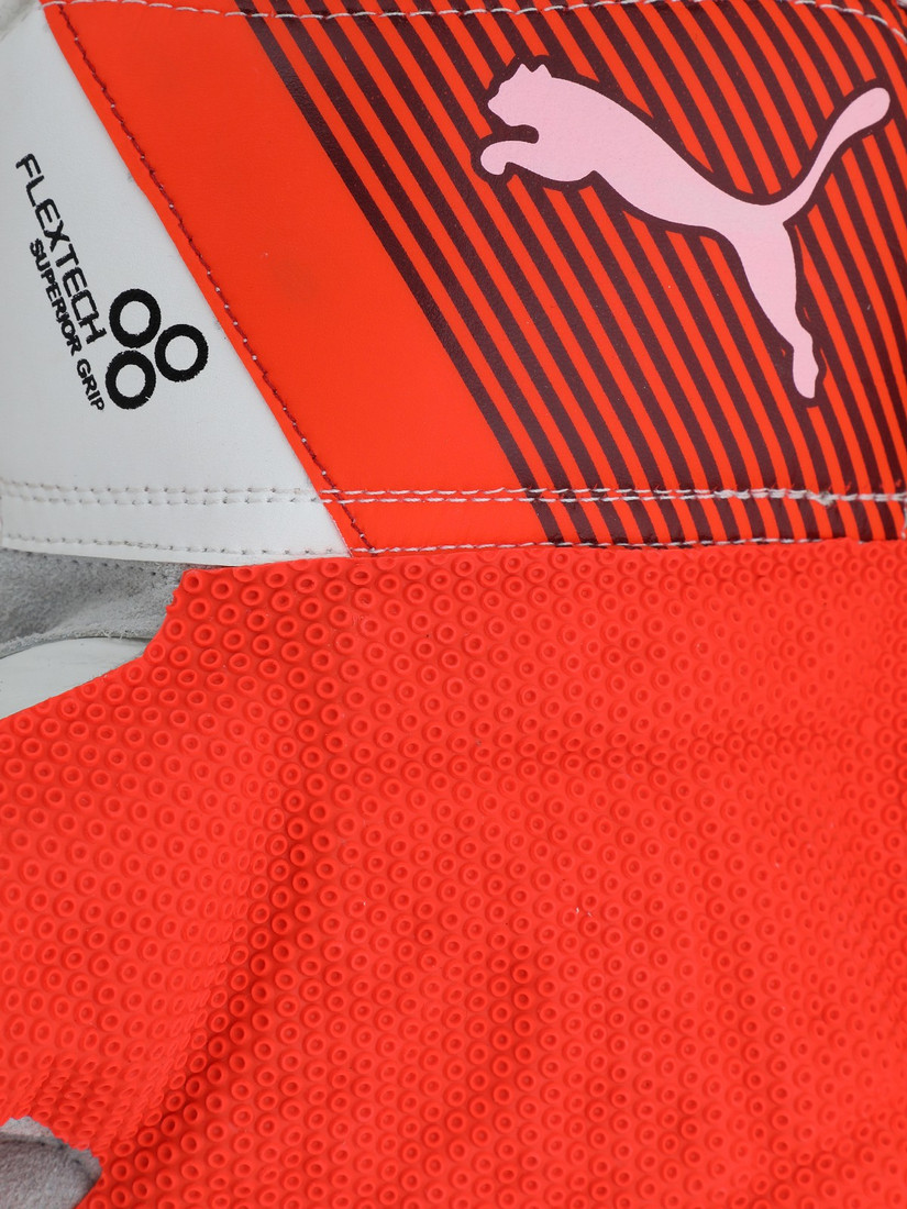 puma evo 2 wicket keeping gloves