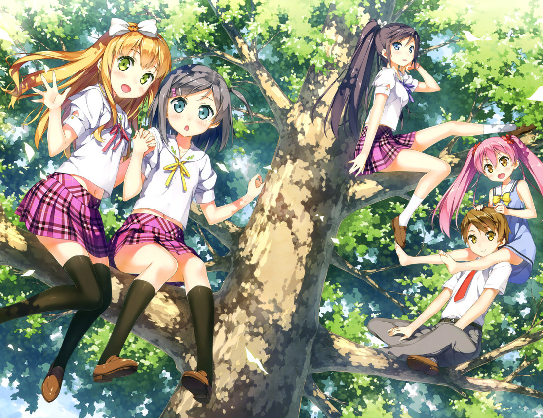 Wallpaper Athah Anime Hentai Ouji To Warawanai Neko 13 19 Inches Wall Poster Matte Finish Paper Print Animation Cartoons Posters In India Buy Art Film Design Movie Music Nature And Educational Desktop Wallpaper