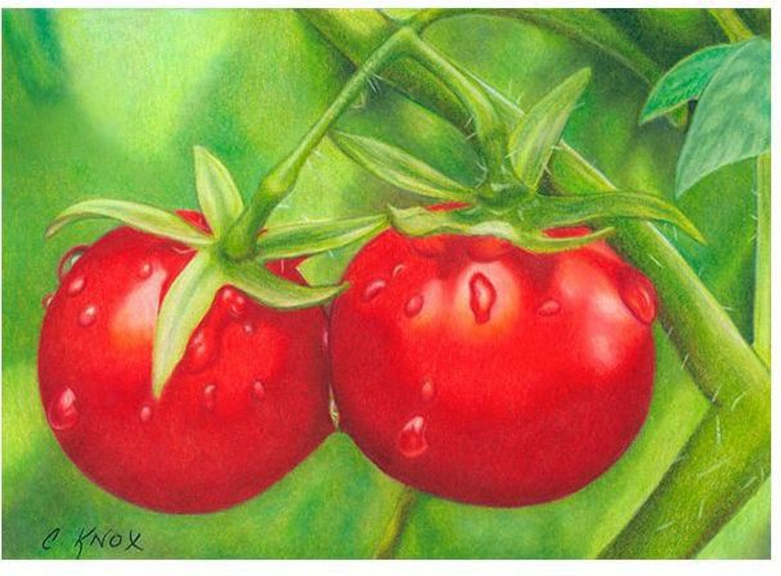 Strathmore Learning Series Learn To Draw Nature Sketch Pad Price