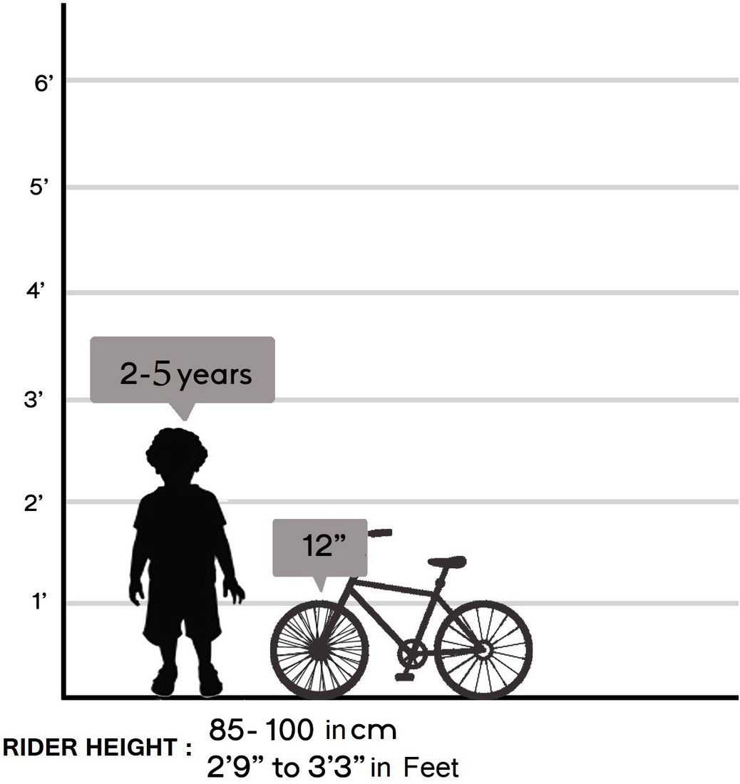 speedo cycle