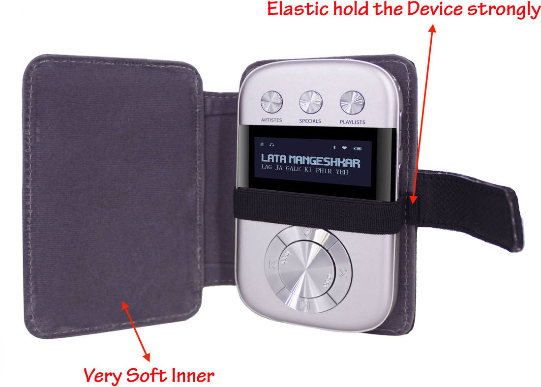 saregama carvaan go flipkart