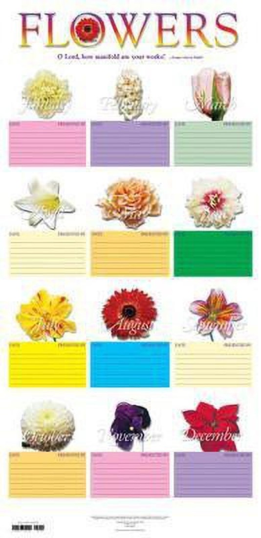 Flower Chart In Tube Buy Flower Chart In Tube By Unknown At Low Price In India Flipkart Com