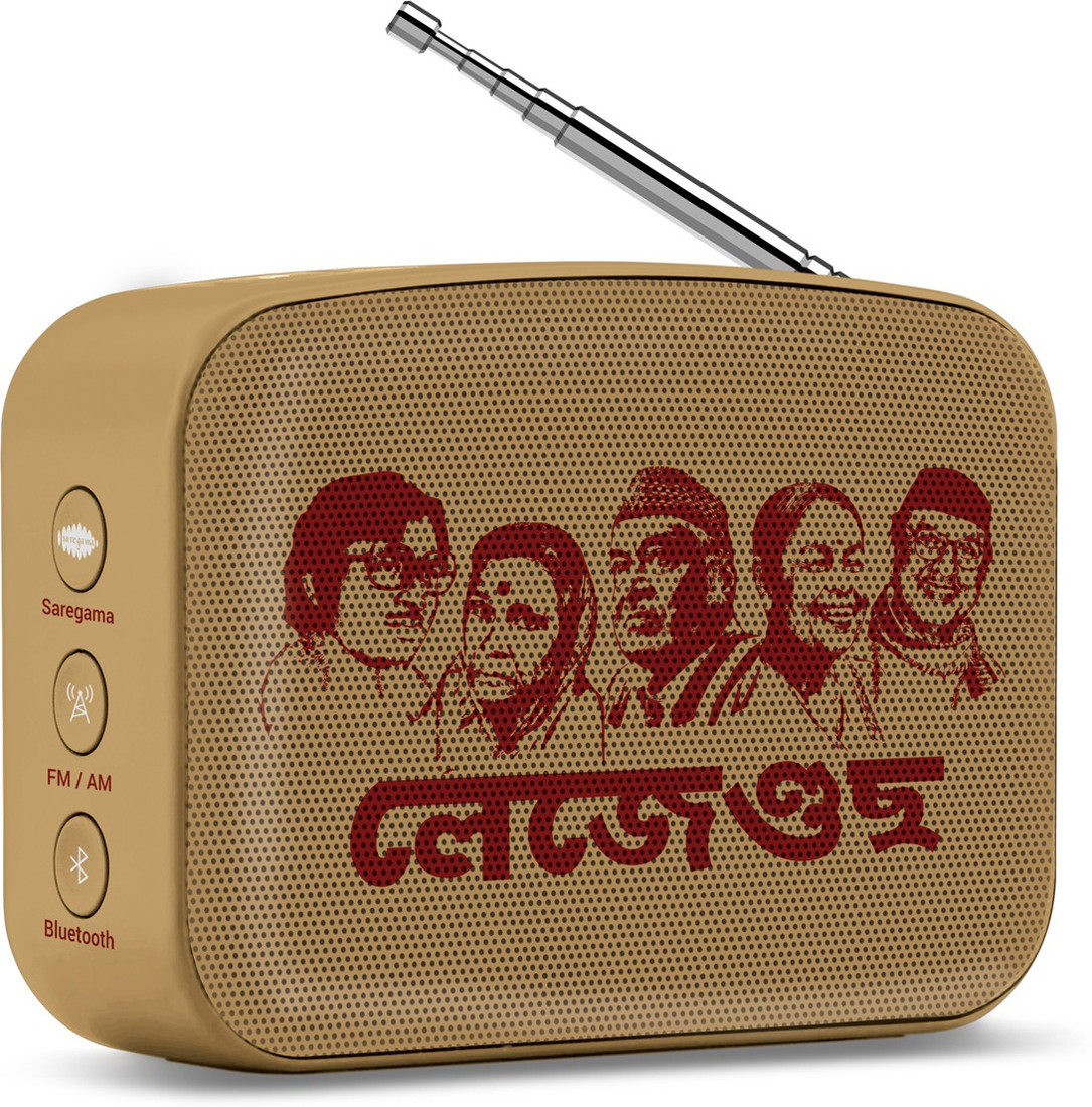 saregama carvaan on flipkart