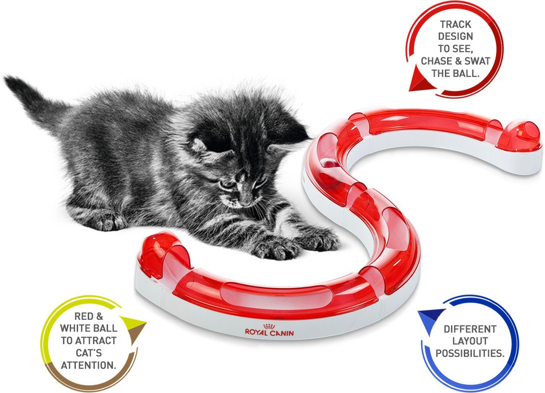 Royal Canin Kitten With Cat Toy Circuit 4 Kg 2x2 Kg Dry Young Cat Food Price In India Buy Royal Canin Kitten With Cat Toy Circuit 4 Kg 2x2 Kg Dry