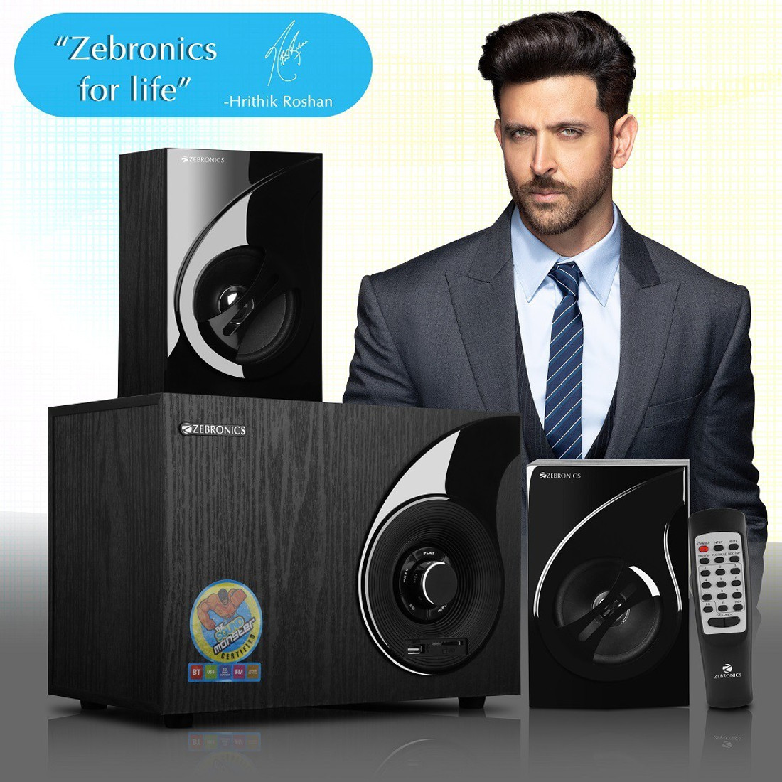 zebronics bt 2494 rucf