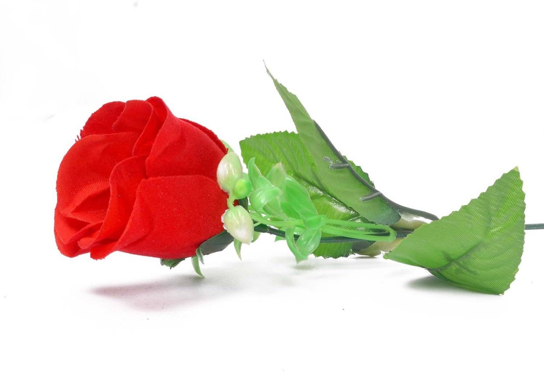 alwaysgift A Beautiful Rose Surprise 1 Rose Multicolor Rose ...