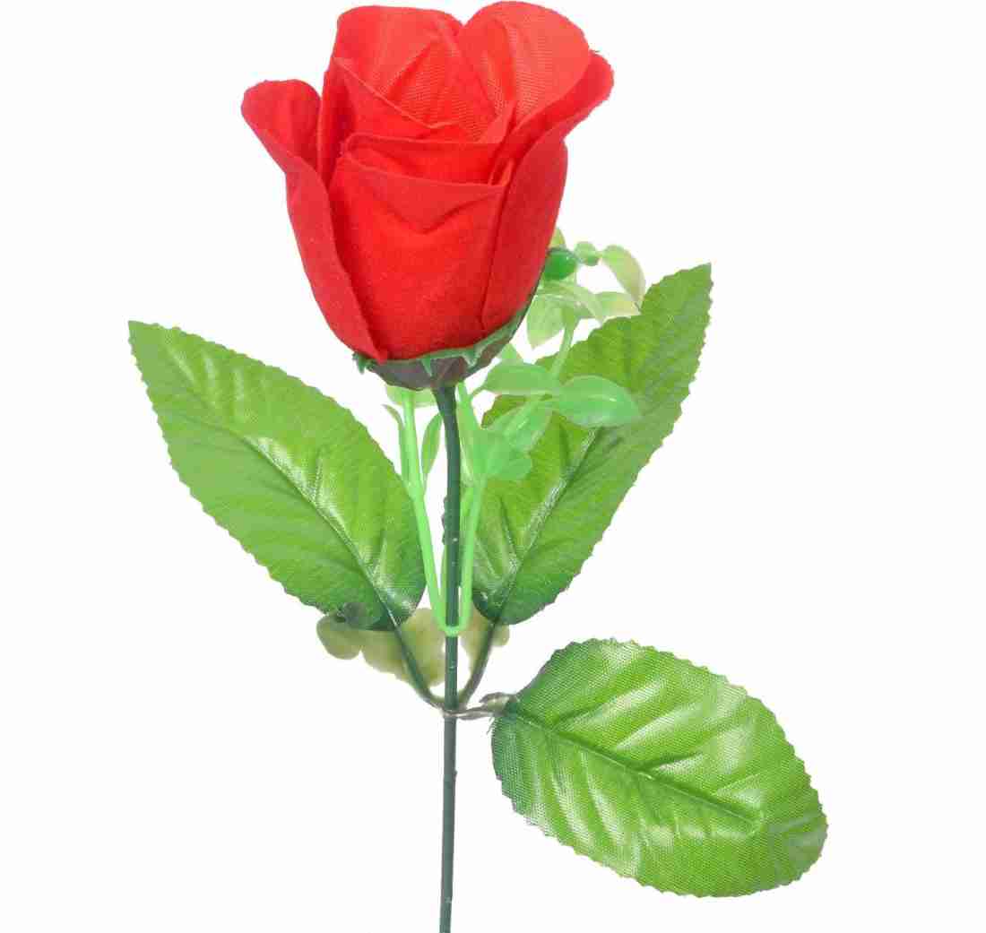 alwaysgift A Beautiful Rose Surprise 1 Rose Multicolor Rose ...