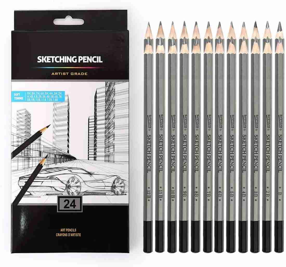 Artist Sketch Pencil Drawing Pencils Set, 12 Piece, Sketching Pencils 3H,  2H, H, HB, 2B, 3B, 4B, 5B, 6B, 7B, 8B, 9B Graphite Pencils for Master level