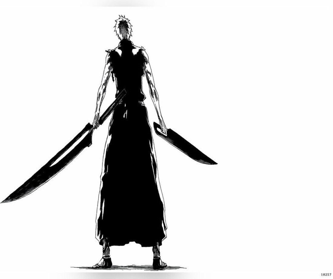 Ichigo Anime Bankai Bleach Kurosaki Manga Tensa Zangetsu Vasto Lorde Matte  Finish Poster Paper Print - Animation & Cartoons posters in India - Buy  art, film, design, movie, music, nature and educational