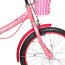 BSA Champ flora Single Speed 16 T 