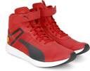 Puma sale sf f116