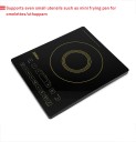 billion fullglass xc125 2200w induction cooktop