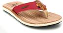 Sparx best sale sfg 2079
