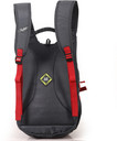 SKYBAGS Strider 03 30 L Backpack Red 