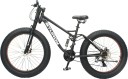 sturdy dual suspension fat bike