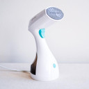 wistec garment steamer