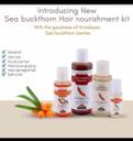 BIOSASH-The Immunity Boosting Company SEA BUCKTHORN JUICE HAIR SERUM (50 ML) HAIR OIL (100 ML) HAIR CONDITIONER (100 ML) SHAMPOO (200 ML) - Price in India, Buy BIOSASH-The Immunity Boosting Company SEA BIOSASH-The Immunity Boosting Company SEA BUCKTHORN JUICE HAIR SERUM (50 ML) HAIR OIL (100 ML) HAIR CONDITIONER (100 ML) SHAMPOO (200 ML) - Price in India, Buy BIOSASH-The Immunity Boosting Company SEA