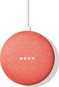 Coral google home top