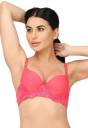 Ellixy Women Push-up Lightly Padded Bra - Buy Ellixy Women Push-up Lightly  Padded Bra Online at Best Prices in India