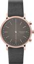 Buy SKAGEN Hybrid Smartwatch Watch For Women SKT1207