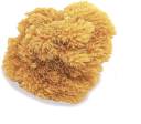 FRKB Natural Sea Sponge for Painting Painting Sponge Block Price in India -  Buy FRKB Natural Sea Sponge for Painting Painting Sponge Block online at