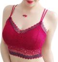 Buy DixZ Women Push-up Lightly Padded Bra Online at Best Prices