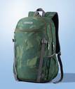 AMERICAN TOURISTER Pulse Sch Bag 27.5 L Backpack Olive Price in
