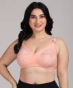 ZIVOK Women Everyday Non Padded Bra - Buy ZIVOK Women Everyday Non Padded  Bra Online at Best Prices in India