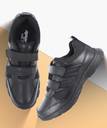 Buy Sparx SM 515 Casuals For Men Online at Best Price