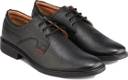Red shop chief rc2282