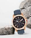 Fossil fs4835i online