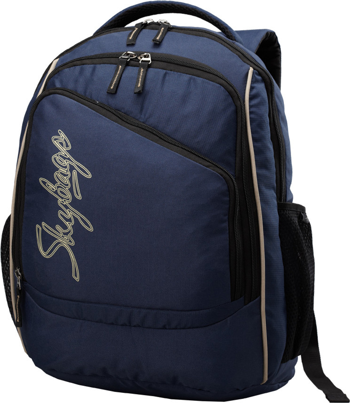 Skybags Backpack Blue Price in India