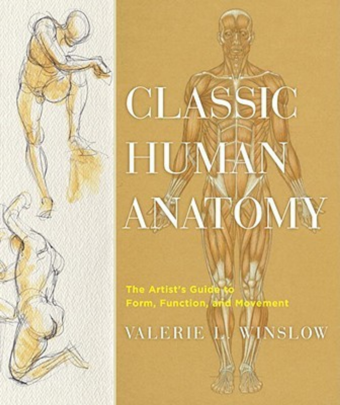 [PDF] Anatomy And Human Movement Structure And Function Read Ebook