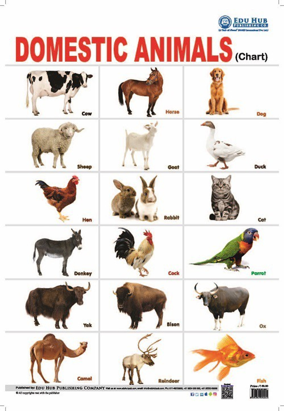 Domestic Animals Chart - Buy Domestic Animals Chart Online at Best ...