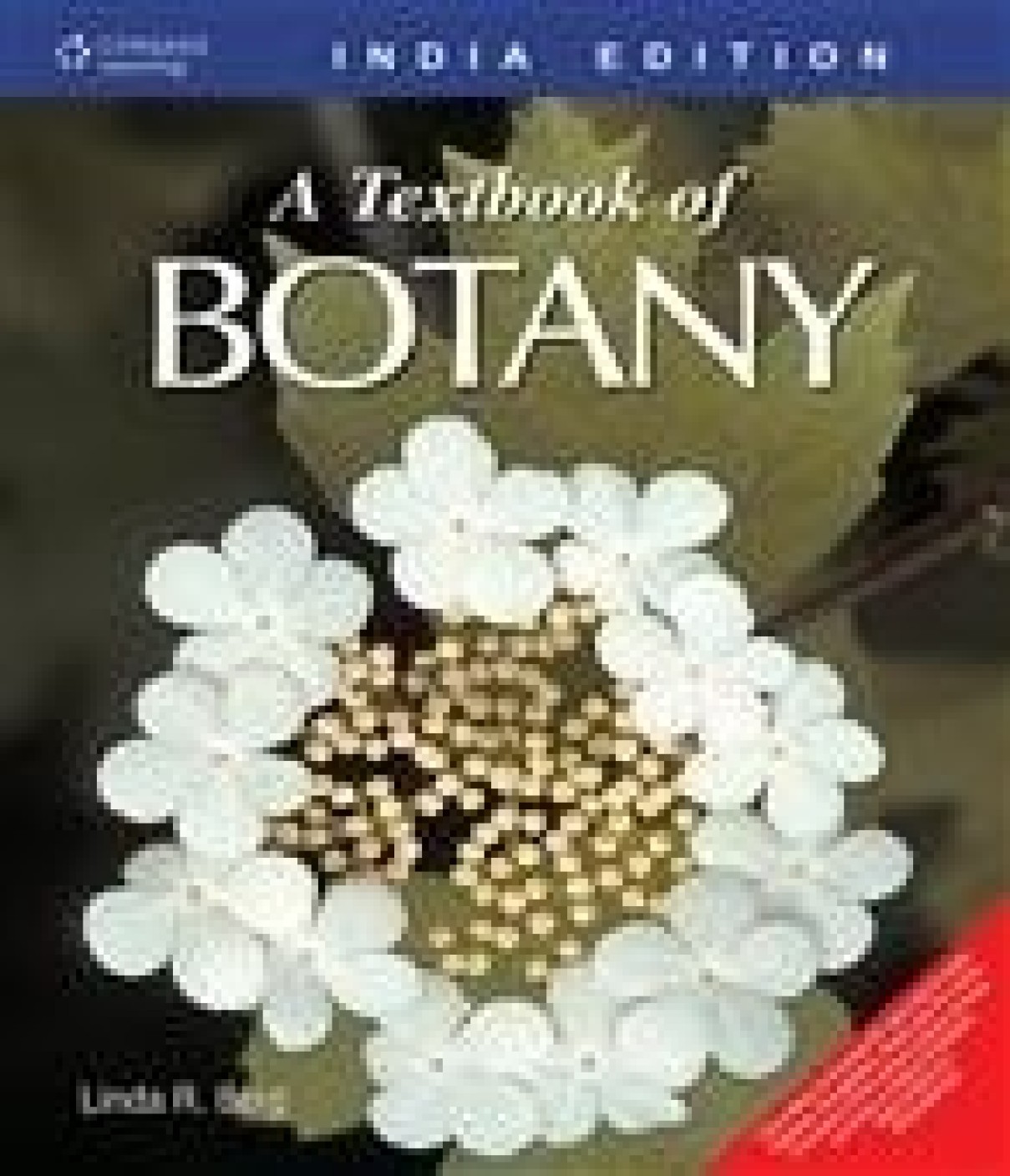 best topics for research in botany