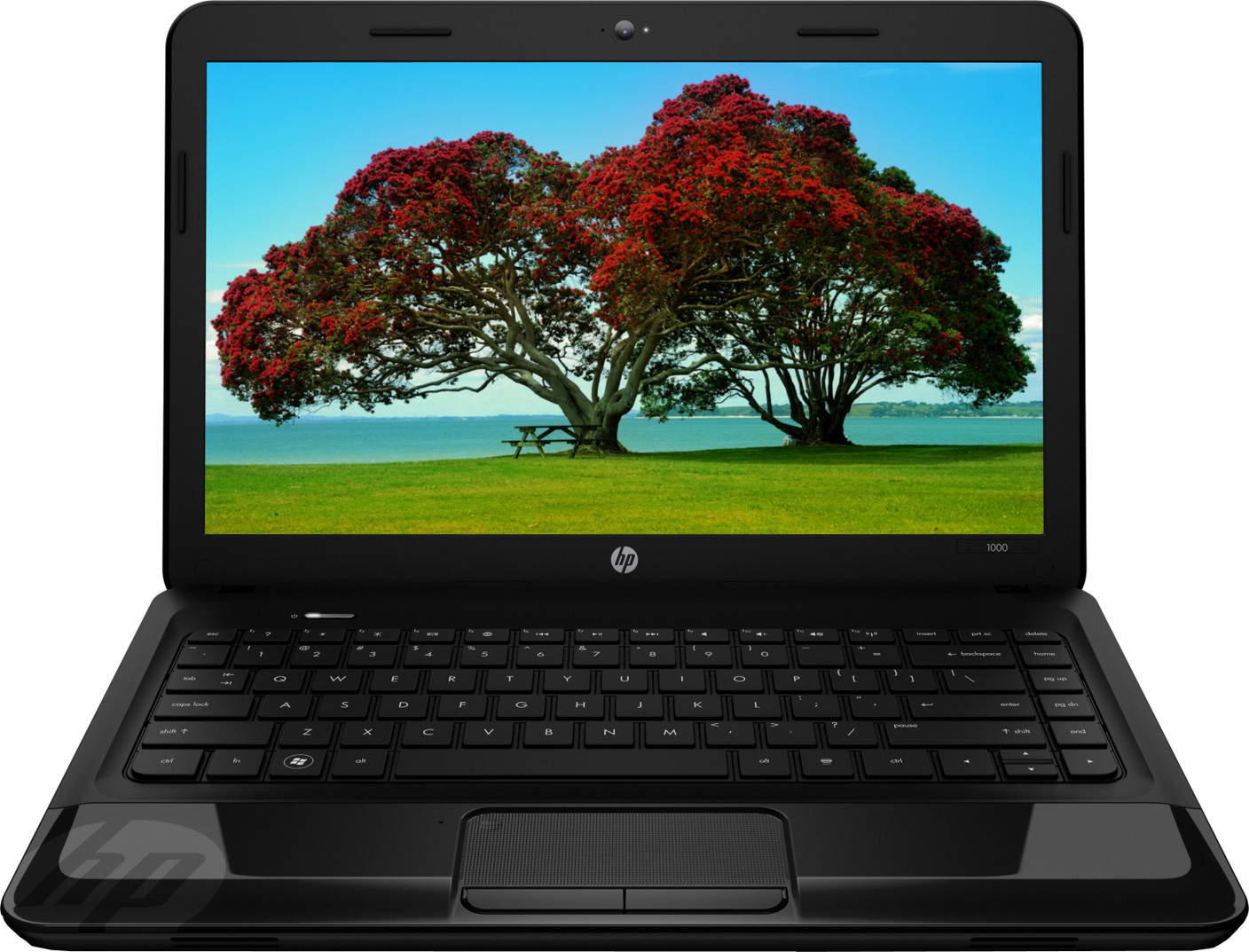 HP 10001205TU Laptop (2nd Gen Ci3/ 2GB/ 500GB/ Win8) Rs. Price in