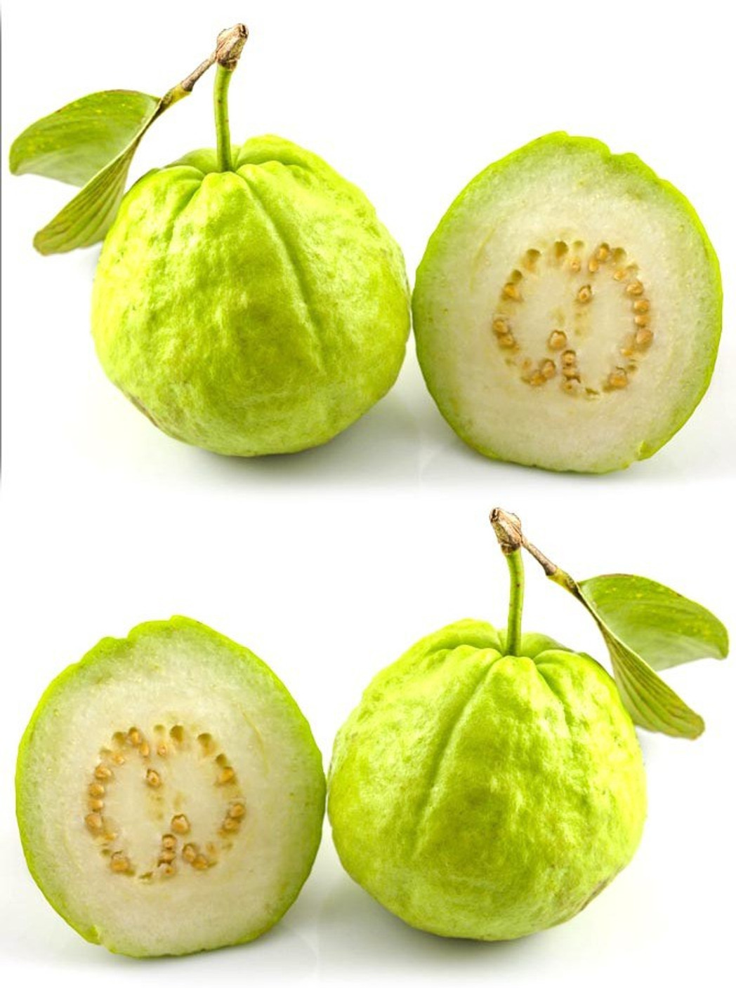 Real Seed Indian Guava (Amrood) Hybrid Imported Fruit Seeds Seed Price