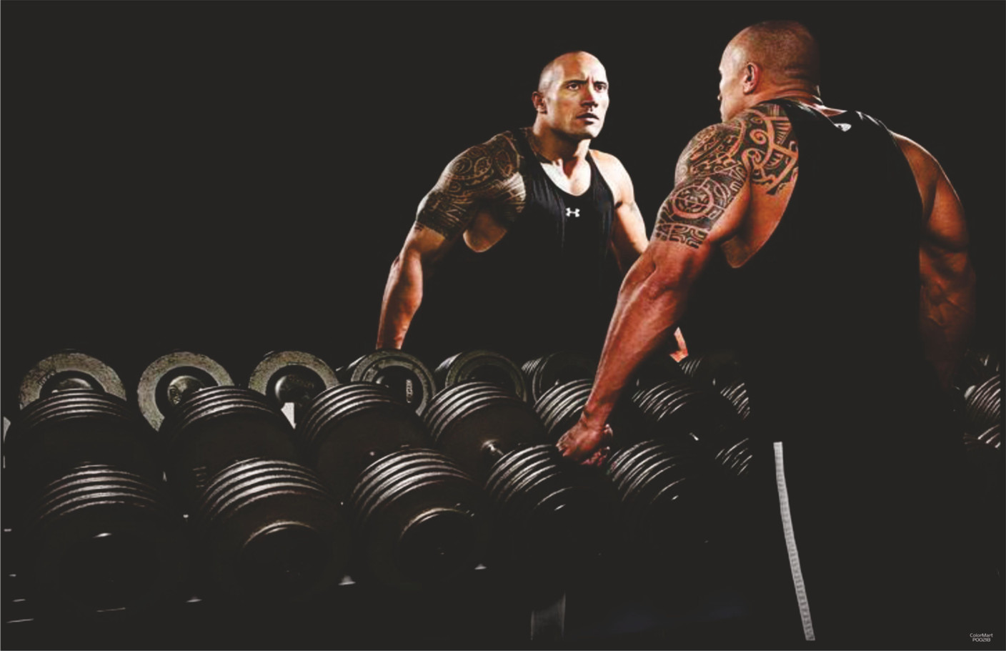 Rock gym. Gym обои скала. Рок Джим Томск. Rock Gym Калининград. The Rock in Gym.
