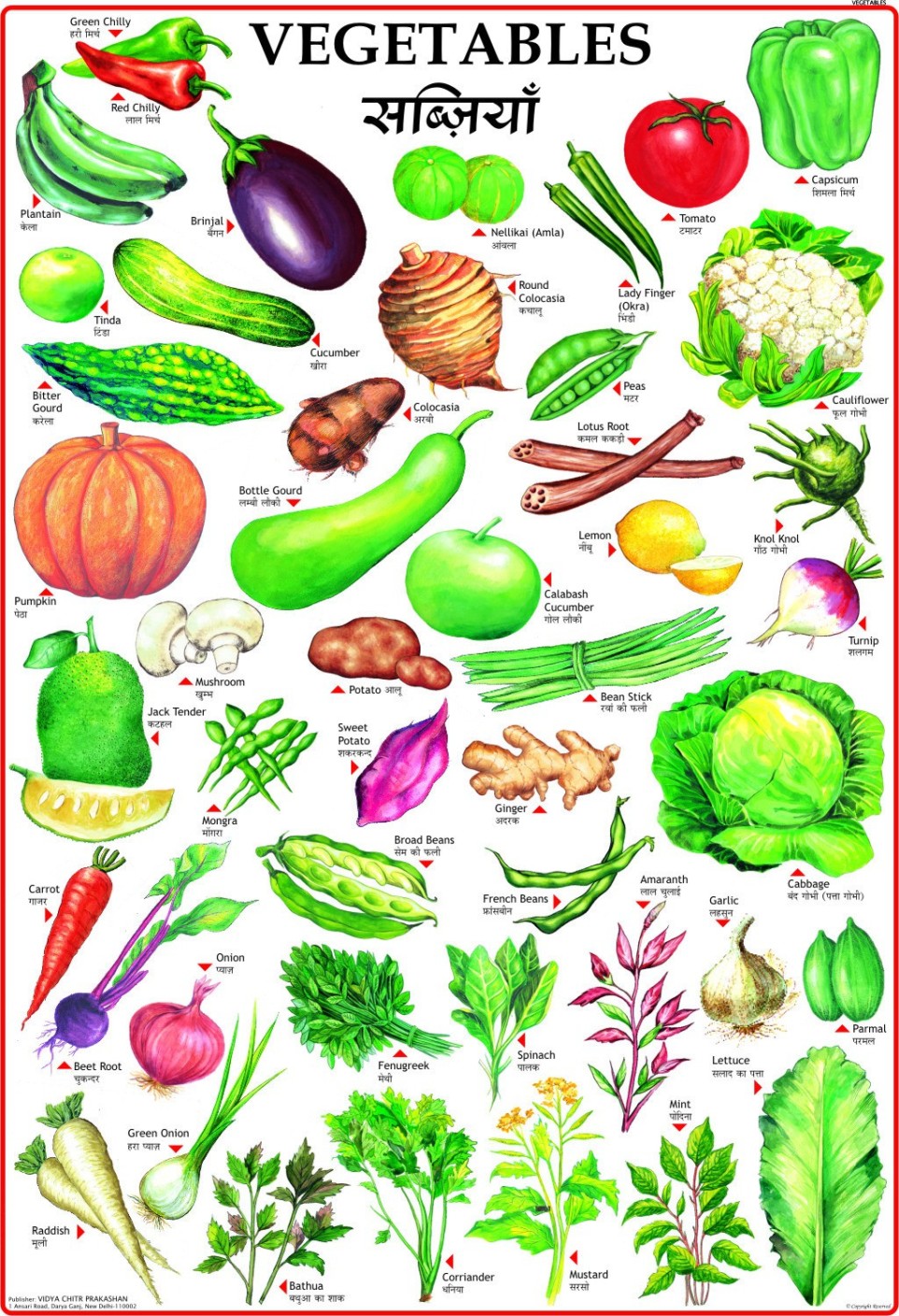 Vegetables Chart for Children Paper Print Children posters in India