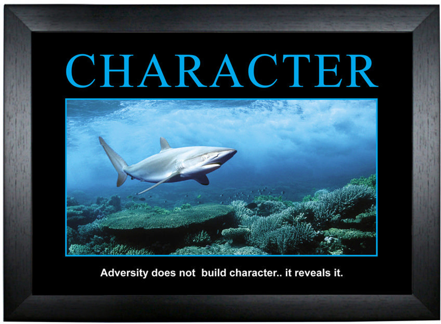 Character - Motivational Poster Photographic Paper Character - Motivational Poster Photographic Paper