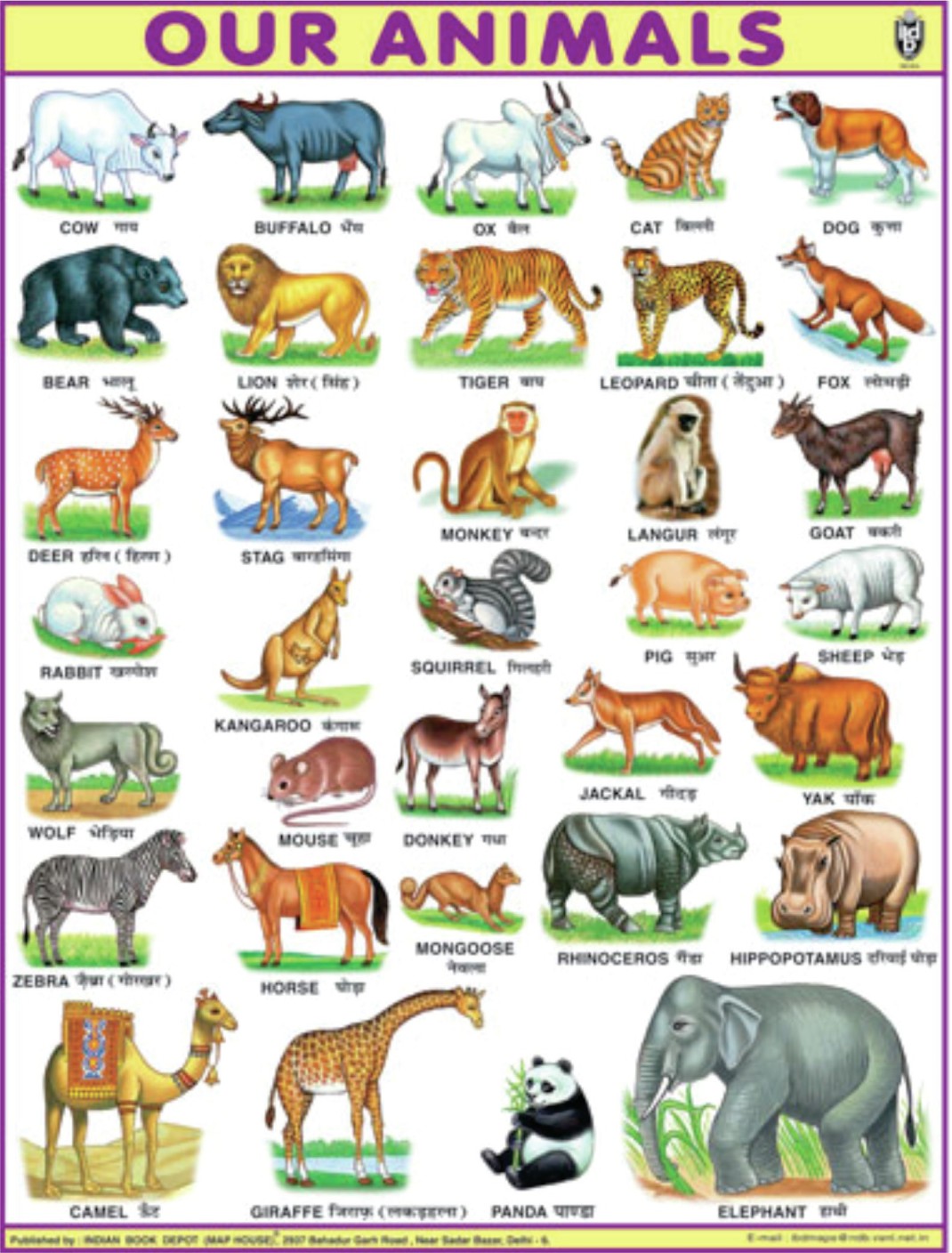 Wild Animals Chart For Kids