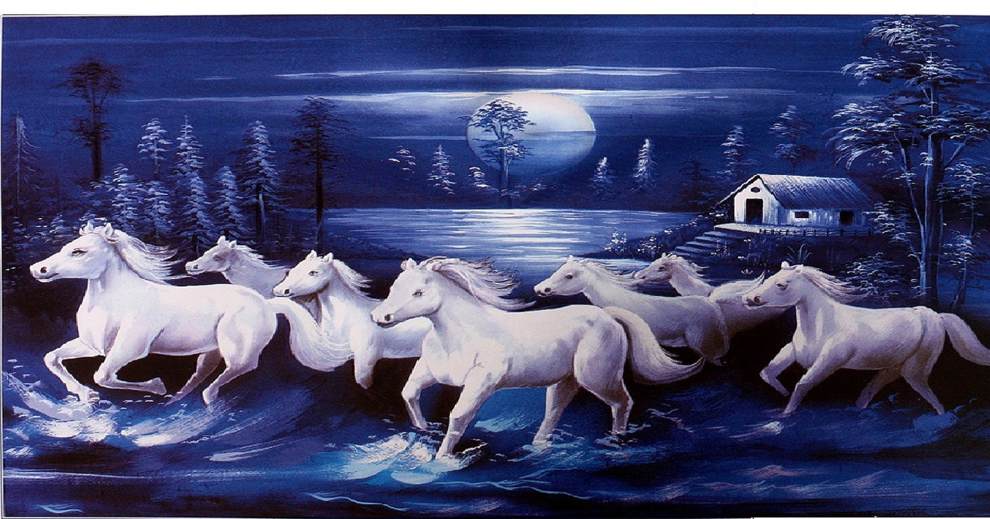 Bm Traders Lucky (7) Horses Unframed Wall Poster (20 x 40 Inches) Paper Print Animals posters