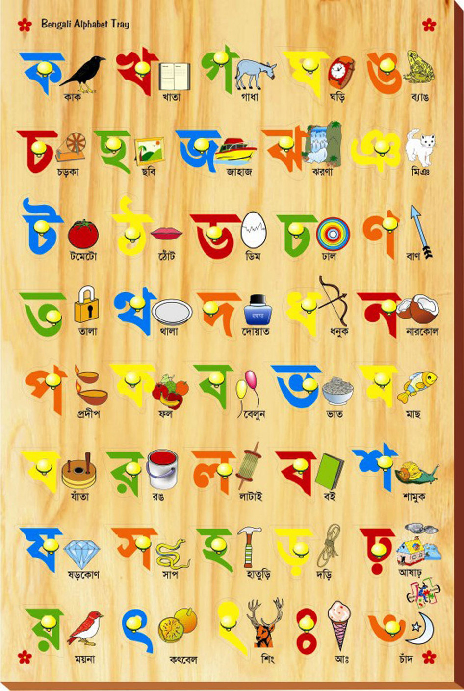 kinder creative bengali alphabet tray pictures with knobs bengali