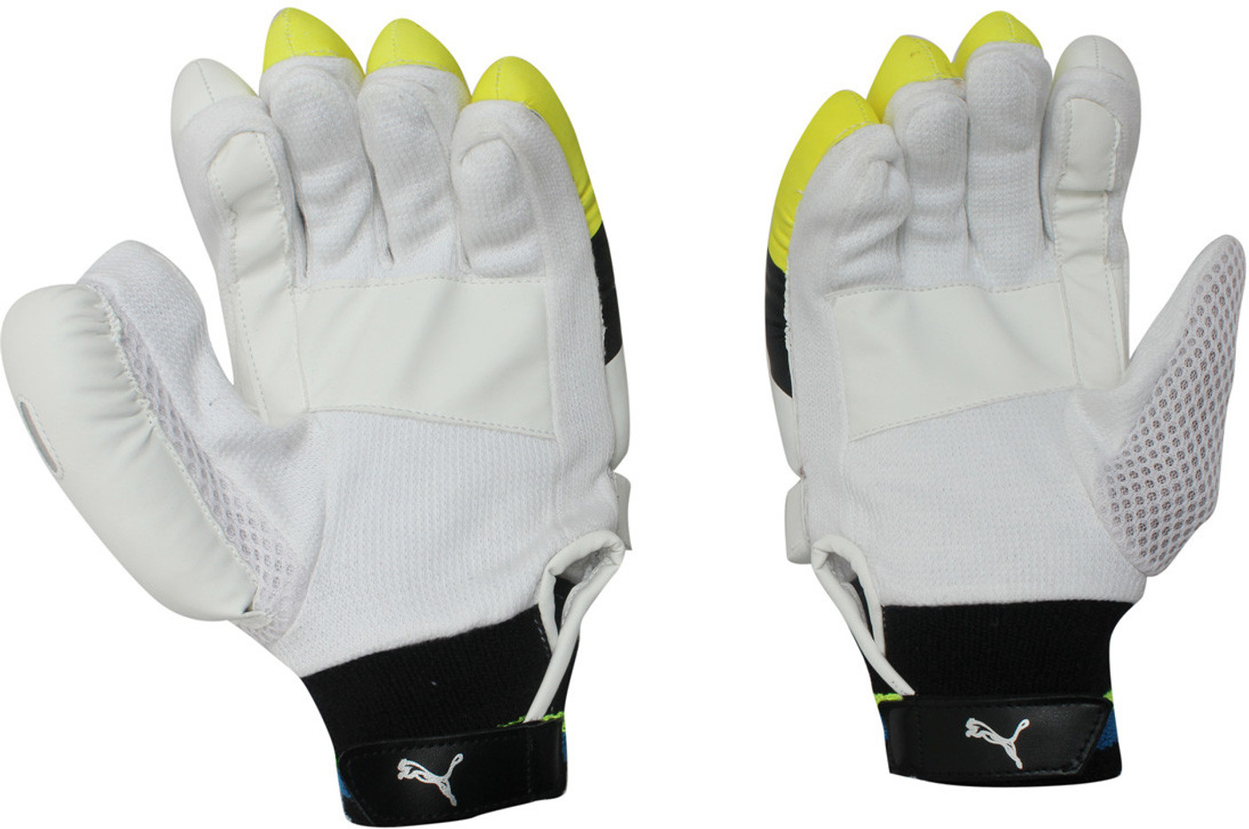 Puma Pulse 1700 Batting Gloves (Multicolor) Buy Puma Pulse 1700