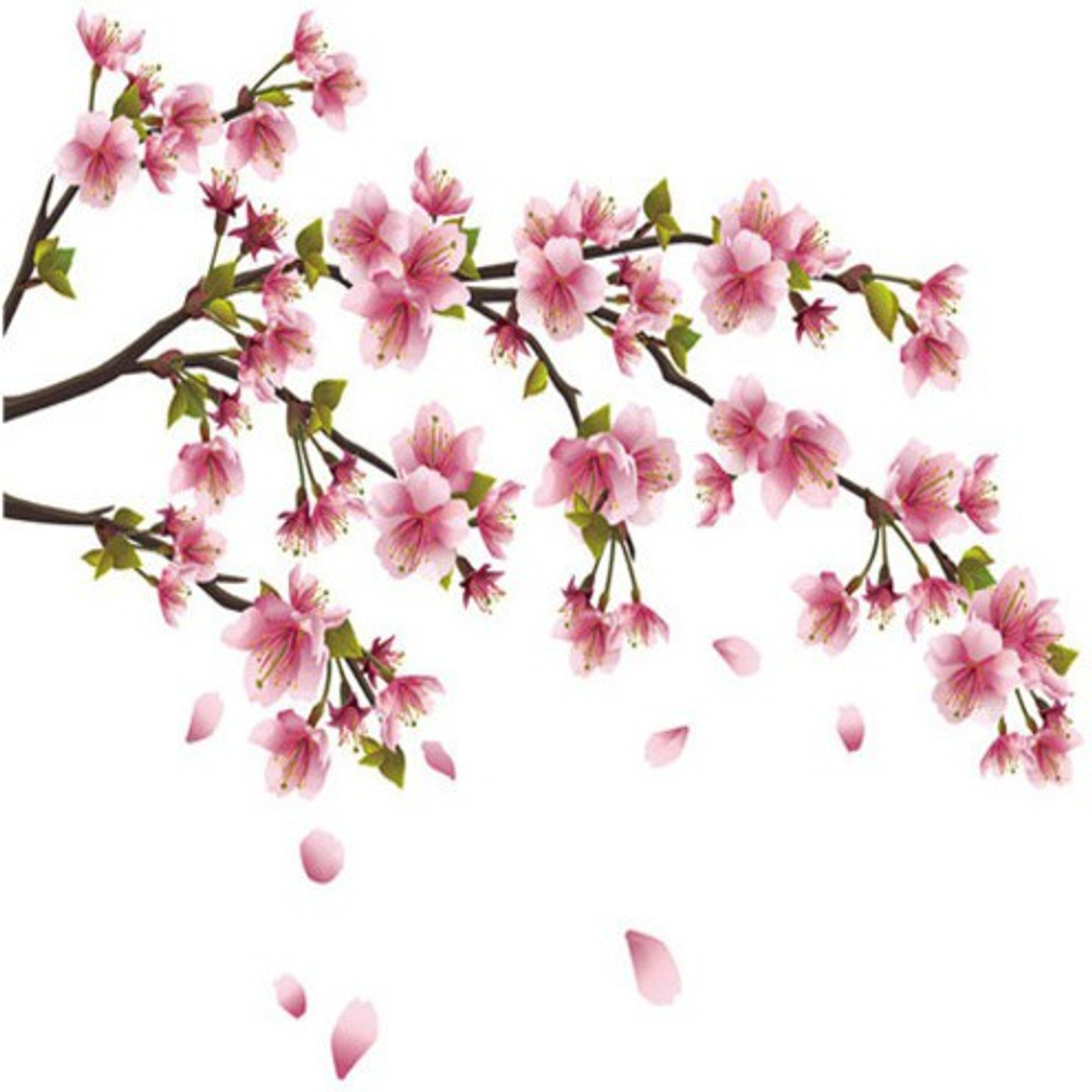 Kitchen Cabinets Painted With Cherry Blossom Kitchen Cabinets Painted With Cherry Blossom