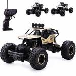 totoy Waterproof Remote Controlled Rock Crawler RC Monster Car With Wheel Remote
