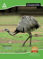 Classmate Notebook Book-size Notebook Unruled 24 Pages (Multicolor, Pack of 24)