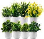Ryme Mini/Small Green Wild Flower Artificial Flower  with Pot (6 inch, Pack of 8, Flower Bunch)